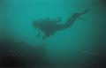 diver