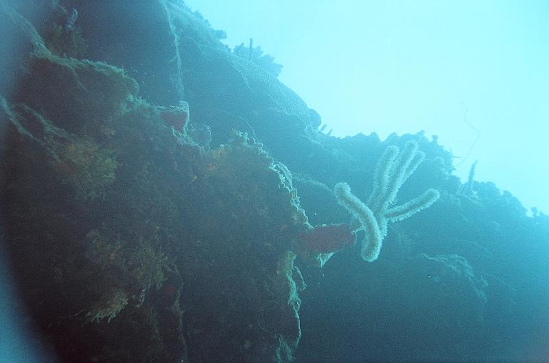 37120037.JPG