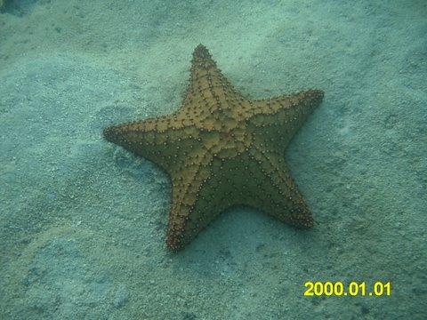 IMAG0025.JPG
