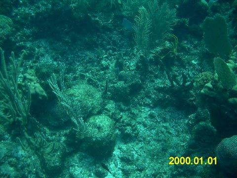 IMAG0030.JPG