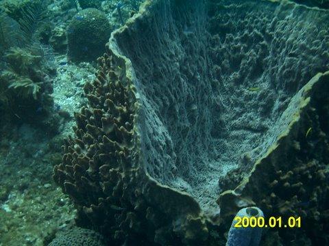 IMAG0043.JPG