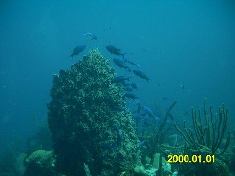 IMAG0044.JPG