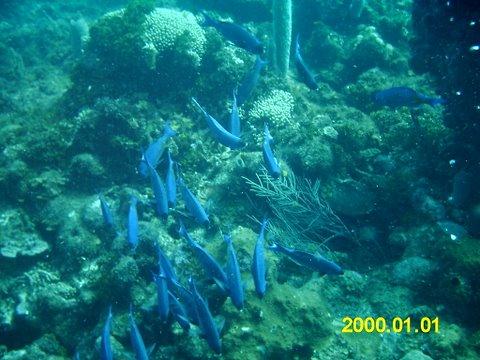 IMAG0045.JPG