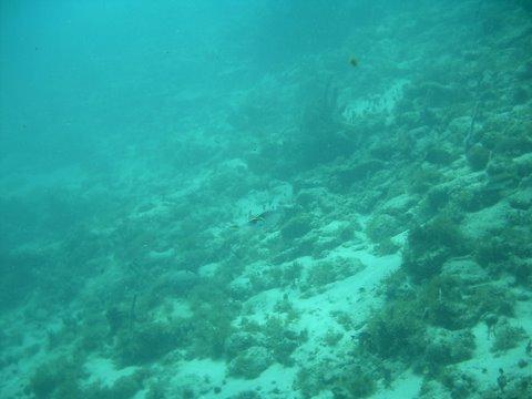 IMAG0101.JPG