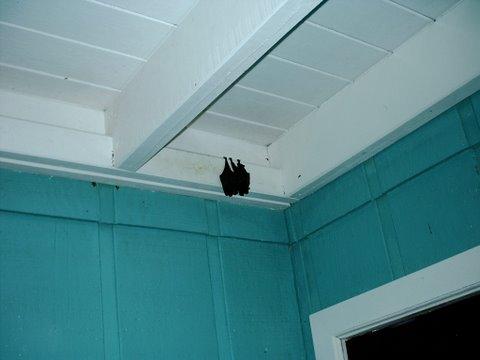 IMAG0114.JPG