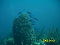 IMAG0044