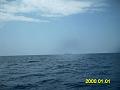 IMAG0054