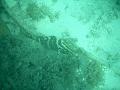 IMAG0107
